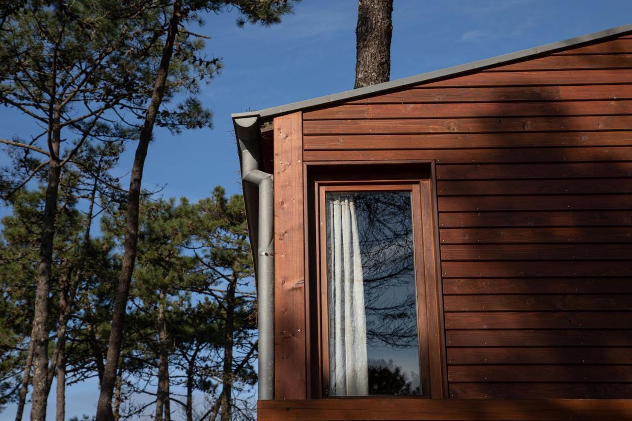 Bungalow B9 - Nature, Beach & River Fão Zewnętrze zdjęcie